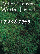 A Little Bit of Heaven in Fort Worth, Texas
